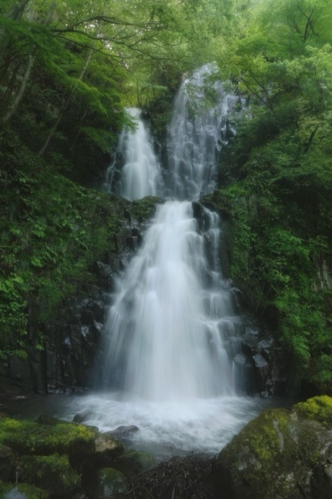 鳥取箱滝 雨之谷裡的靜默瀑布（鳥取縣）