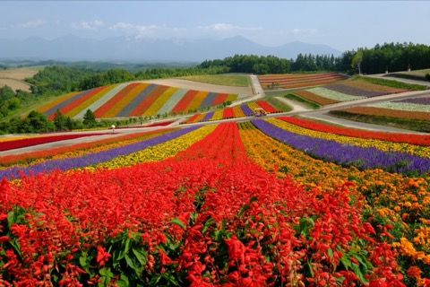 北海道的靜謐時刻 站立凝視那片絢爛光景（Charlie_or_Y-N 攝）