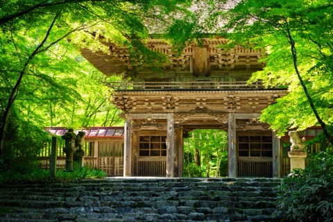岐阜縣大矢田神社的靜謐時刻（岐阜縣）