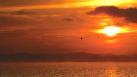 琵琶湖晨曦　朝日染紅湖面與天際（滋賀縣）