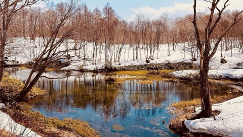 ニセコの美しい風景