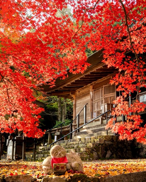 兵庫秋色｜大國寺的朱紅光影（TAKAYOSHI_ENDOU 攝）