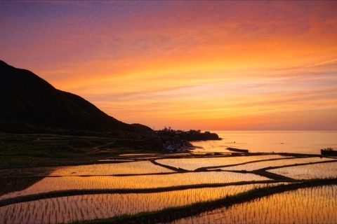 京都袖志梯田夕照 日本原風景的靜謐時刻（棚田）
