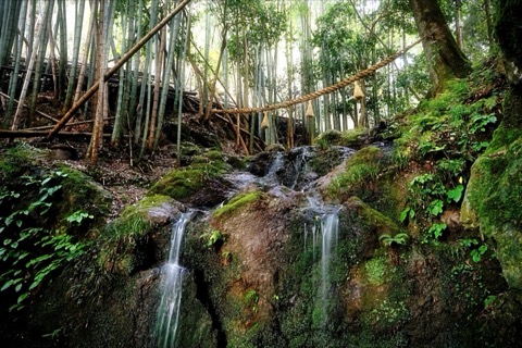 天ヶ峰の里  夫婦滝
