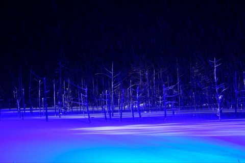 北海道藍色池塘的冰雪世界