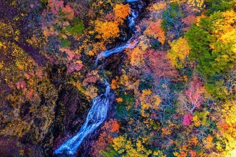 福島磐梯吾妻天空線 燕子谷千紫萬紅楓景（福島縣）
