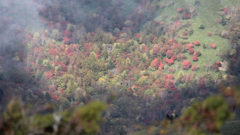 岐阜縣富士見台高原的遠眺（岐阜縣）