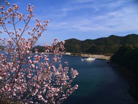 鳴門市　島田島　堀越橋より望む