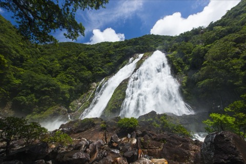 大川の滝