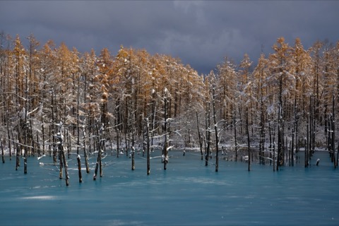 青池的色調 北海道的靜謐藍（Charlie_or_Y-N 攝）