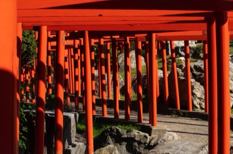 朱紅迴廊 青森高山稲荷神社的千本鳥居（青森縣）