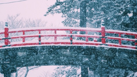 雪天：岩手縣的靜謐時刻（岩手縣）