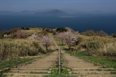 香川大串自然公園的靜謐風景（香川縣）