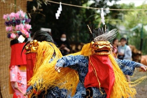 中神的獅子舞：東京昭島市春祈禱的古老儀式（ibumon 攝）