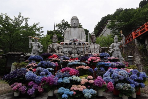 奈良壷阪寺的信仰之地（奈良縣）