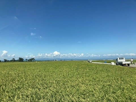 富山滑川的夏日田園——晴空白雲與稻田的協奏（富山縣）
