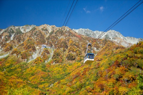 富山 黑部平 紅葉滿山的空中散步（富山縣）