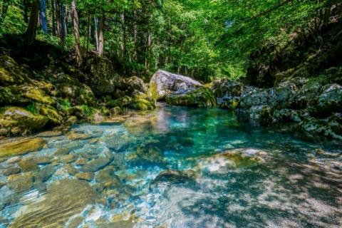 岐阜縣円原川的靜謐水流（岐阜縣）