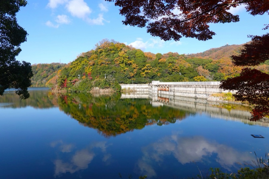 紅葉の烏原貯水池・立ヶ畑堰堤（兵庫県）