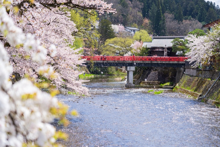 春の飛騨高山（岐阜県）