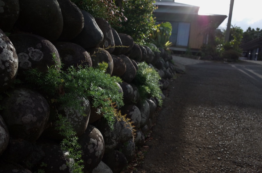 夕暮れに輝く玉石（東京都）