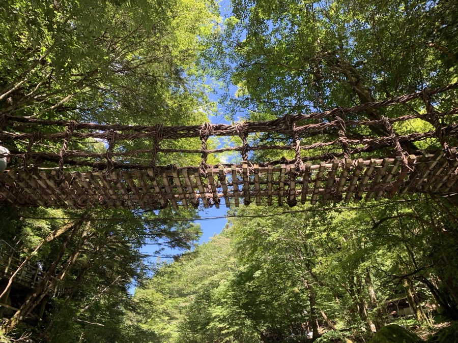 かずら橋（徳島県）