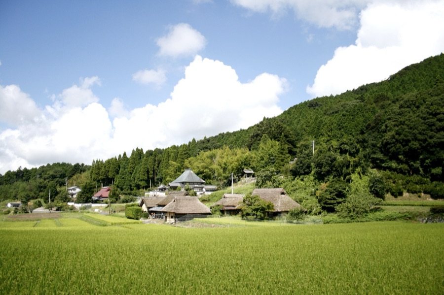 八塔寺（岡山県）