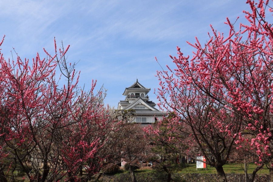 長浜城歴史博物館（滋賀県）