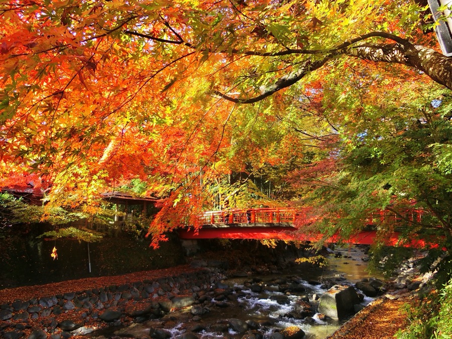 修善寺温泉街（静岡県）