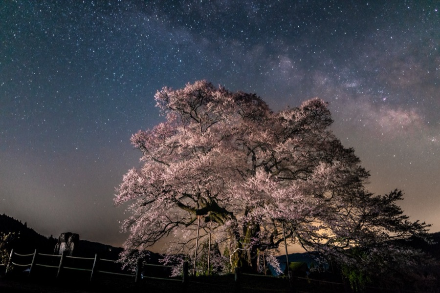 星空と醍醐の祈り（岡山県）