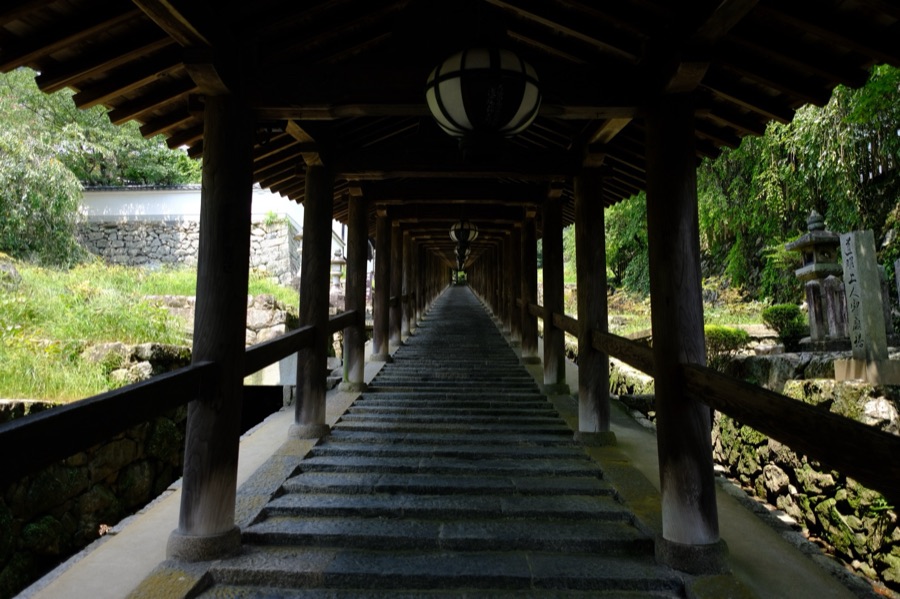 長谷寺…（奈良県）
