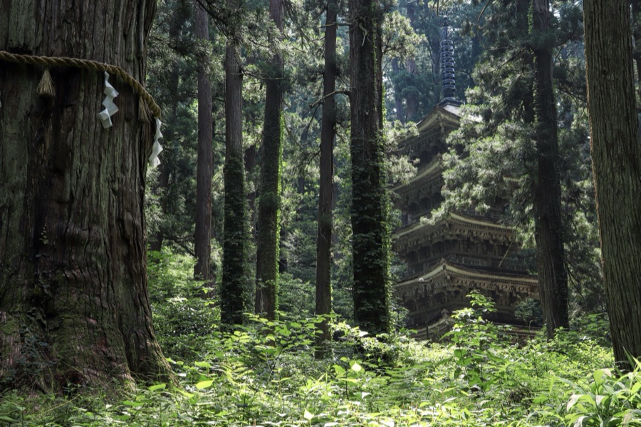 羽黒山の秘境（山形県）