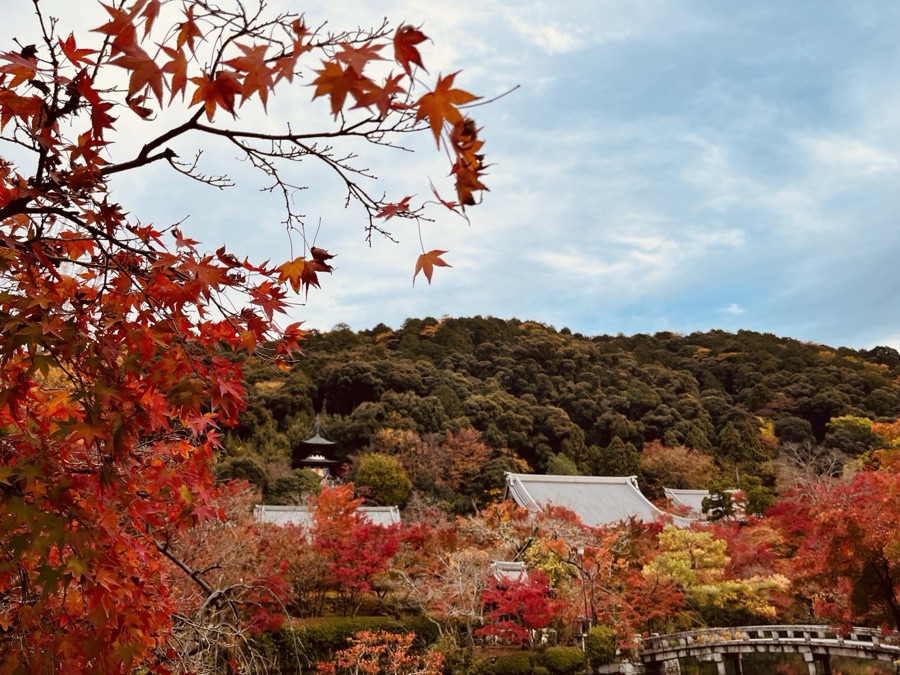 永観堂の紅葉（京都府）