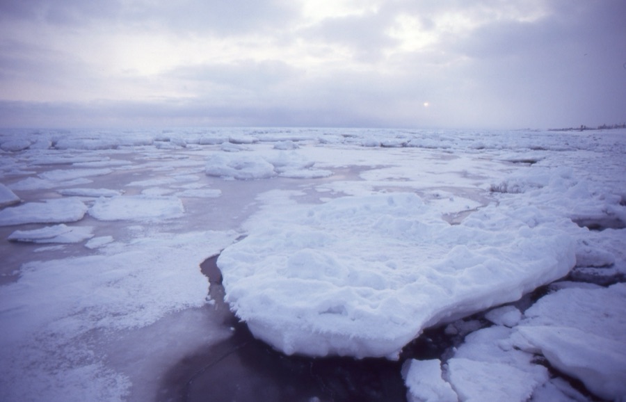 北海道　網走の流氷（北海道）
