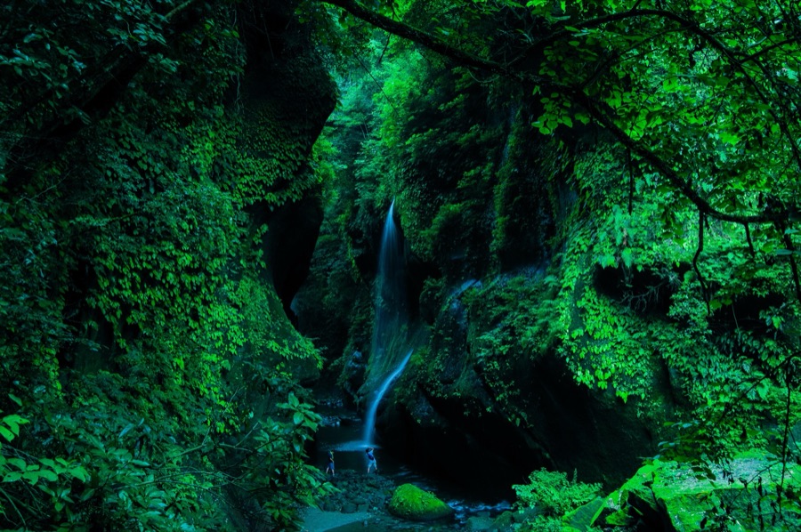 緑の世界（大分県）