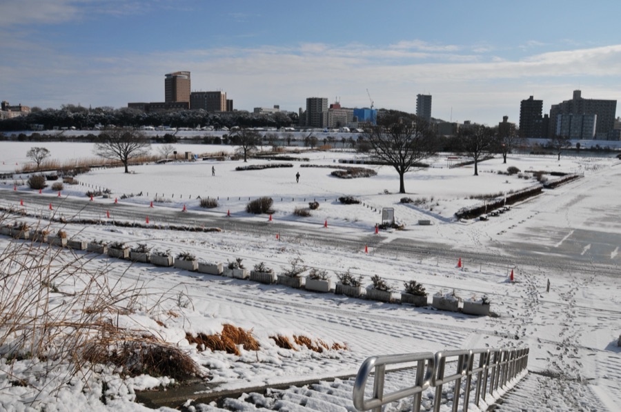 小岩菖蒲園雪景色（東京都）