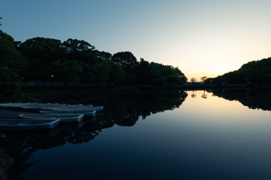 鷺池（奈良県）