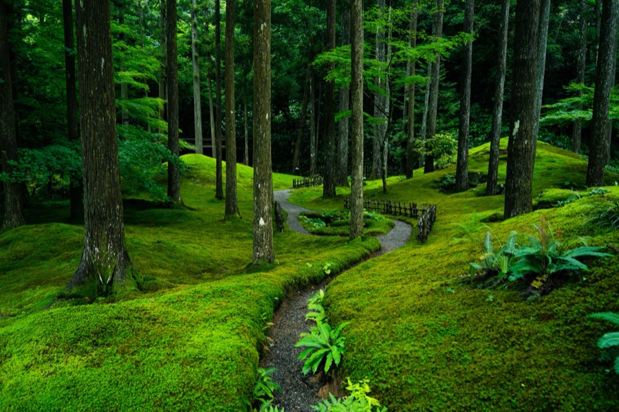 苔の里（石川県）
