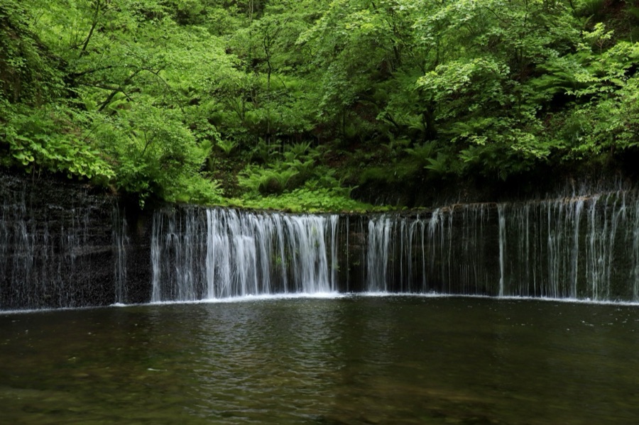 軽井沢へ避暑に行こう（長野県）