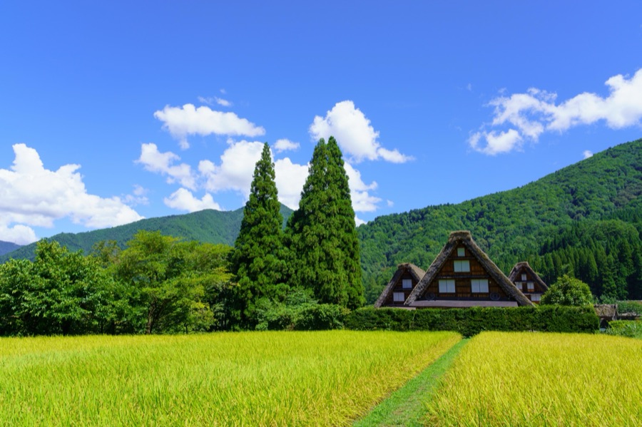 白川郷（三つ子の合掌造り）（岐阜県）