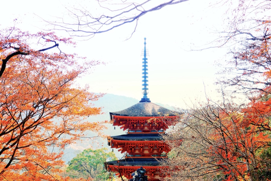 長谷寺（奈良県）
