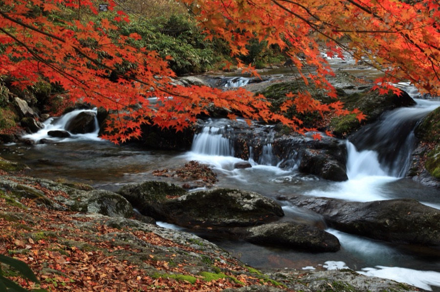 八重滝（島根県）
