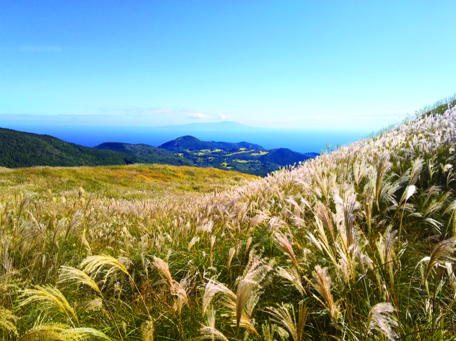伊豆稲取細野高原のススキ野原と伊豆諸島（静岡県）