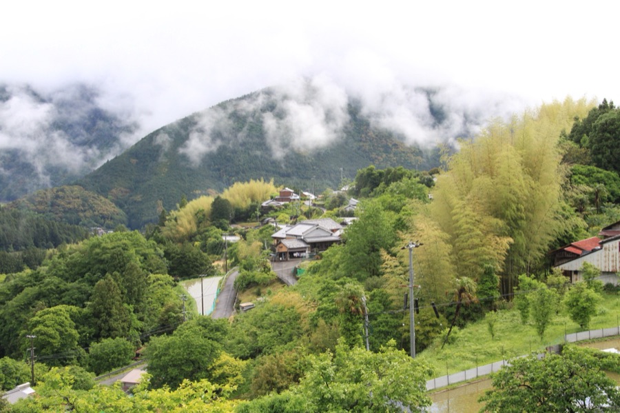 熊野古道（和歌山）（和歌山県）