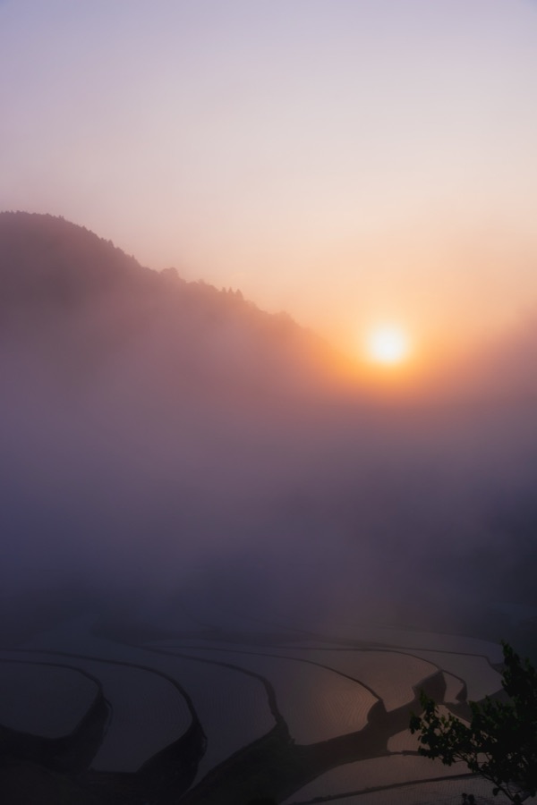朝霞む棚田の秘郷（広島県）
