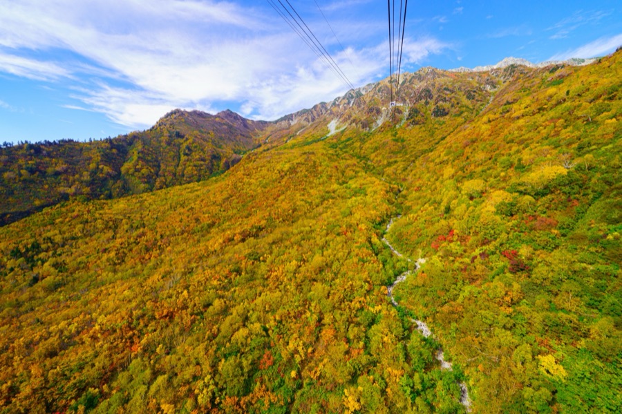 立山（タンボ平）（富山県）