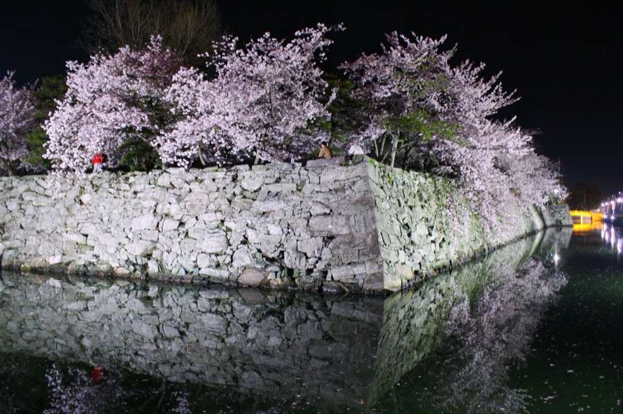 桜が咲き誇る城跡（徳島県）