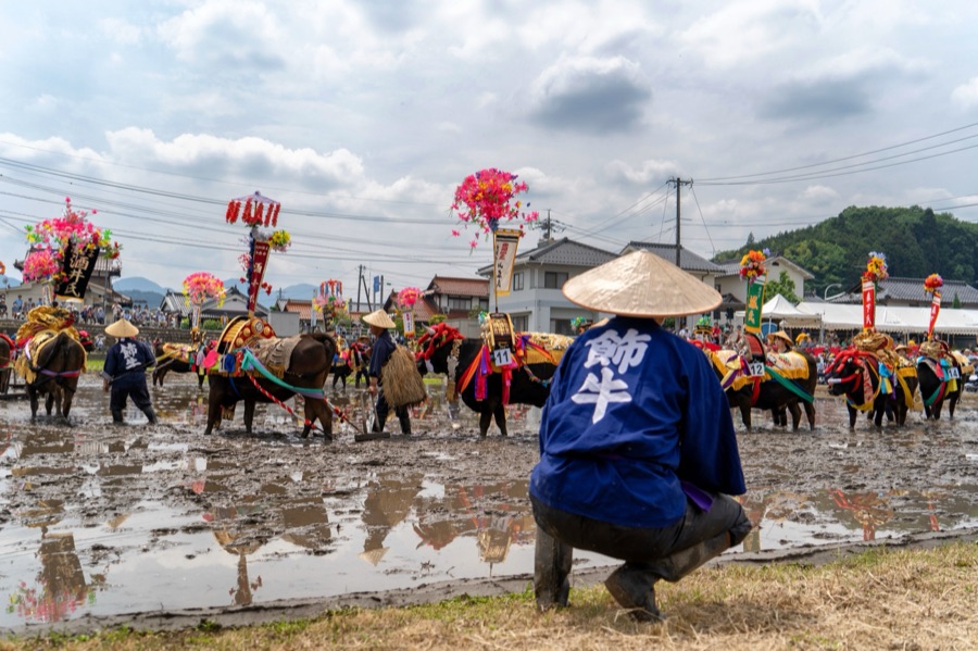 壬生の花田植（広島県）