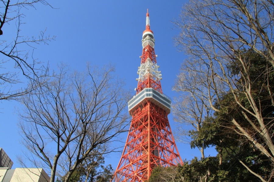 東京都　港区芝公園　東京タワー（東京都）