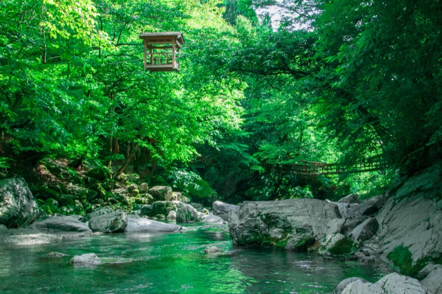 祖谷渓のかずら橋と野猿（徳島県）